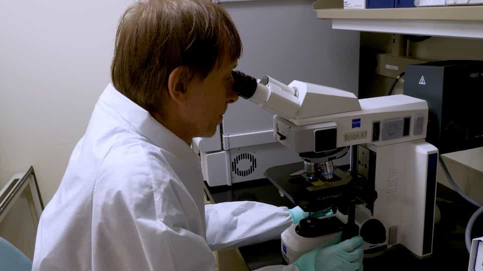 Immunohistochemistry Test for the Lyssavirus Antigen Detection from Formalin-Fixed Tissues