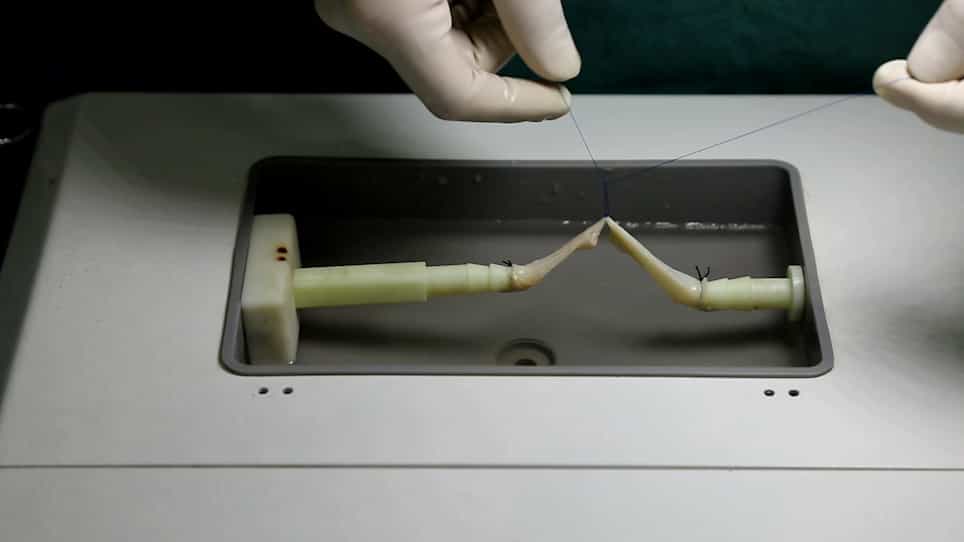 A Training and Testing System for Performing Vascular Reconstruction In Vitro