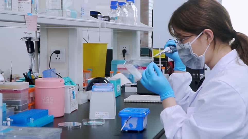An Ectopic Chemokine Expression Model for Testing Macrophage Recruitment In Vivo