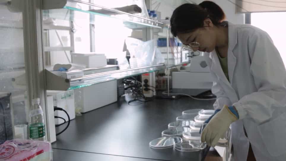 Light Spot-Based Assay for Analysis of Drosophila Larval Phototaxis