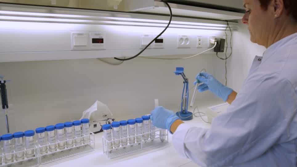 Monitoring Extracellular pH in Cross-Kingdom Biofilms using Confocal Microscopy