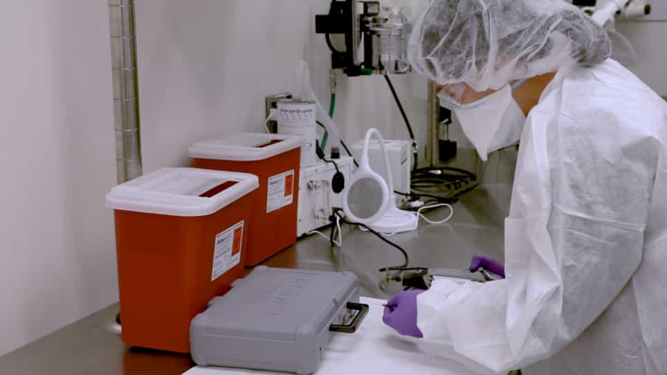 Intrathecal Delivery of Antisense Oligonucleotides in the Rat Central Nervous System