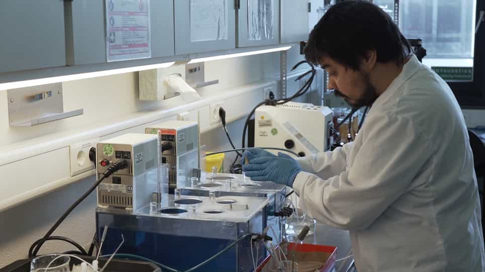 Imaging of Intracellular ATP in Organotypic Tissue Slices of the Mouse Brain using the FRET-based Sensor ATeam1.03YEMK