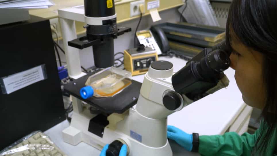 Imaging the Human Immunological Synapse