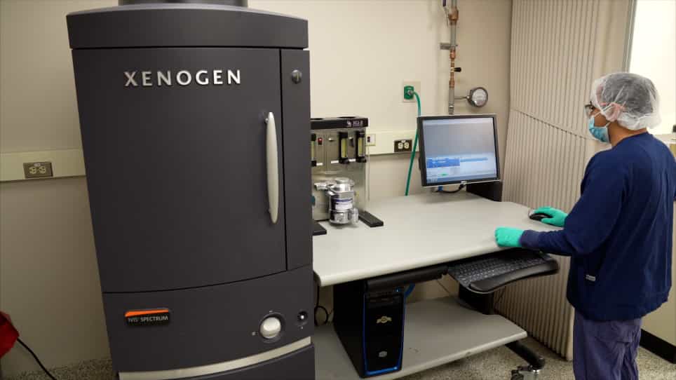 Studying Triple Negative Breast Cancer Using Orthotopic Breast Cancer Model