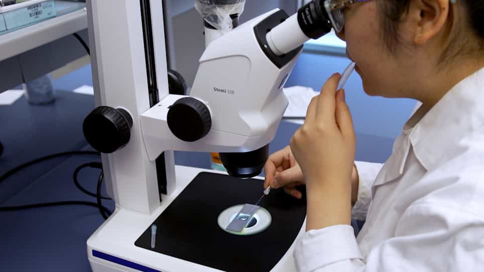 In Vitro Reconstitution of Spatial Cell Contact Patterns with Isolated Caenorhabditis elegans Embryo Blastomeres and Adhesive Polystyrene Beads