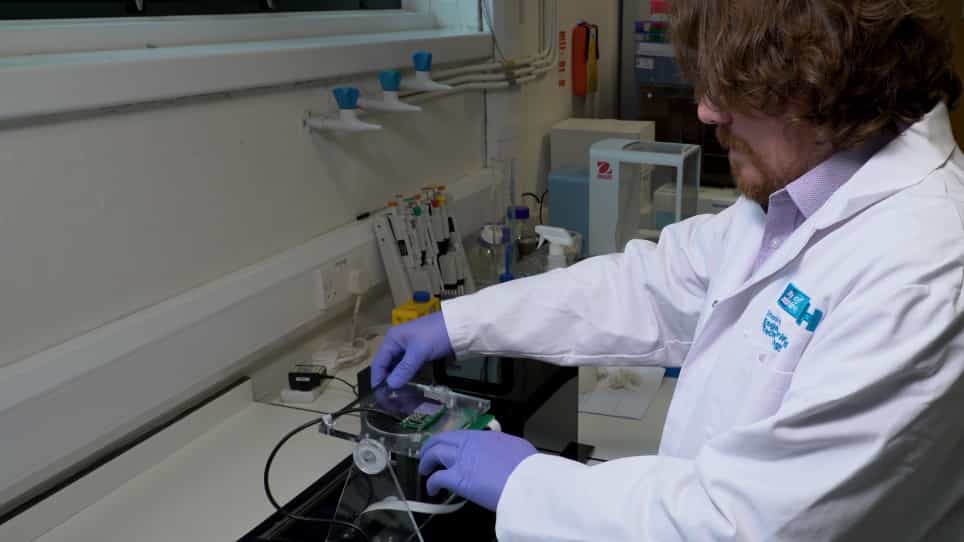 Electrowetting-based Digital Microfluidics Platform for Automated Enzyme-linked Immunosorbent Assay