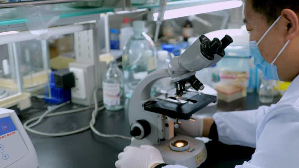 Detecting Migration and Infiltration of Neutrophils in Mice