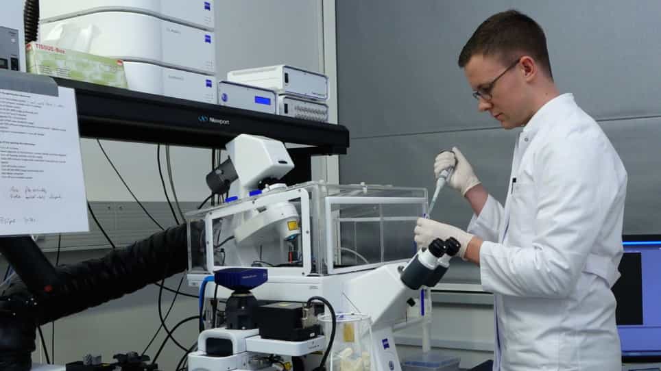 Investigating Intestinal Barrier Breakdown in Living Organoids