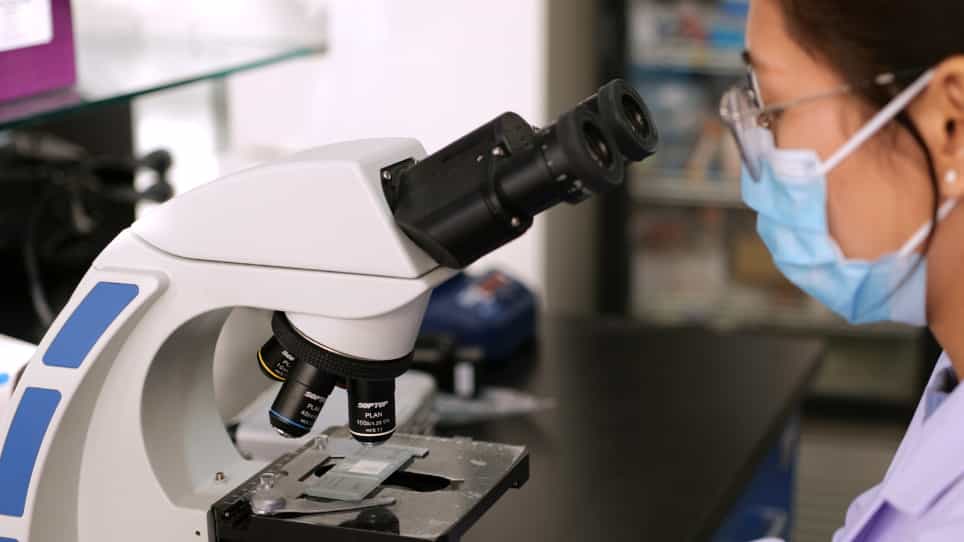 Nucleofection and In Vivo Propagation of Chicken Eimeria Parasites