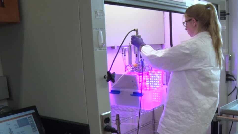 Microalgae Cultivation and Biomass Quantification in a Bench-Scale Photobioreactor with Corrosive Flue Gases