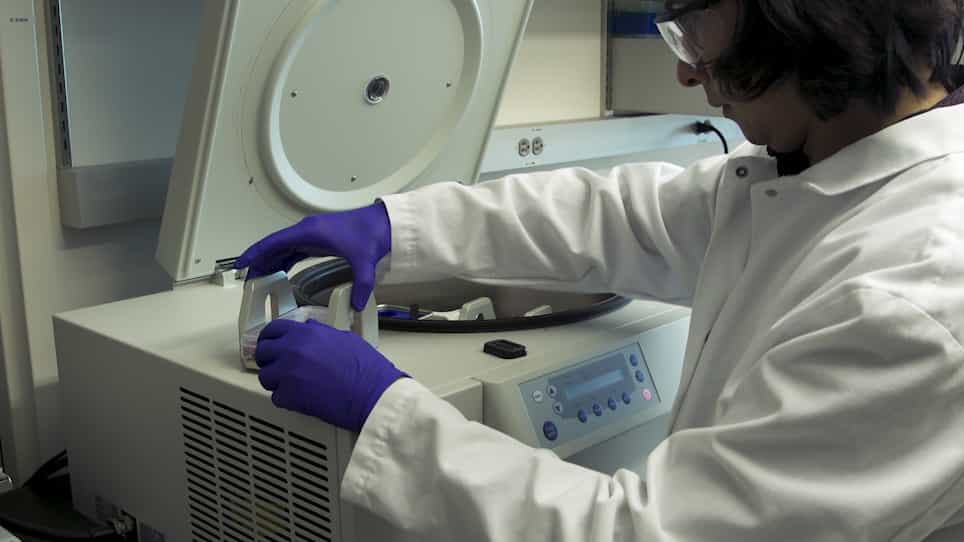 NF-κB-dependent Luciferase Activation and Quantification of Gene Expression in Salmonella Infected Tissue Culture Cells
