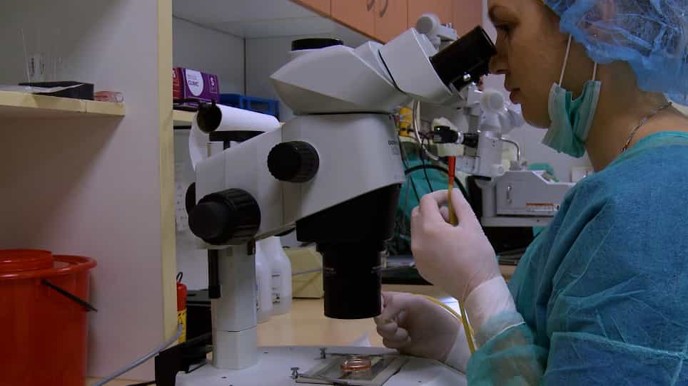 Generation of Transgenic Rats using a Lentiviral Vector Approach