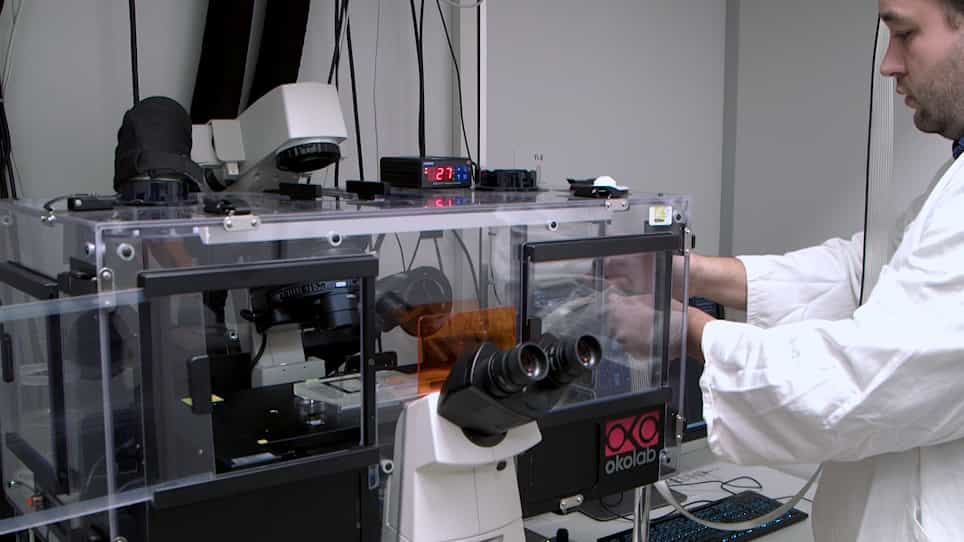 Multi-scale Analysis of Bacterial Growth Under Stress Treatments