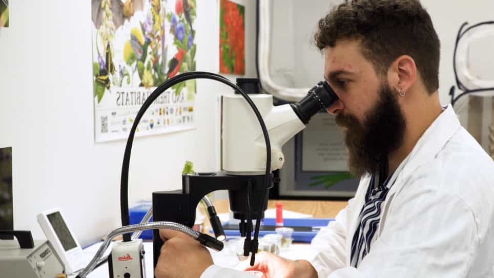 At-Risk Butterfly Captive Propagation Programs to Enhance Life History Knowledge and Effective Ex Situ Conservation Techniques