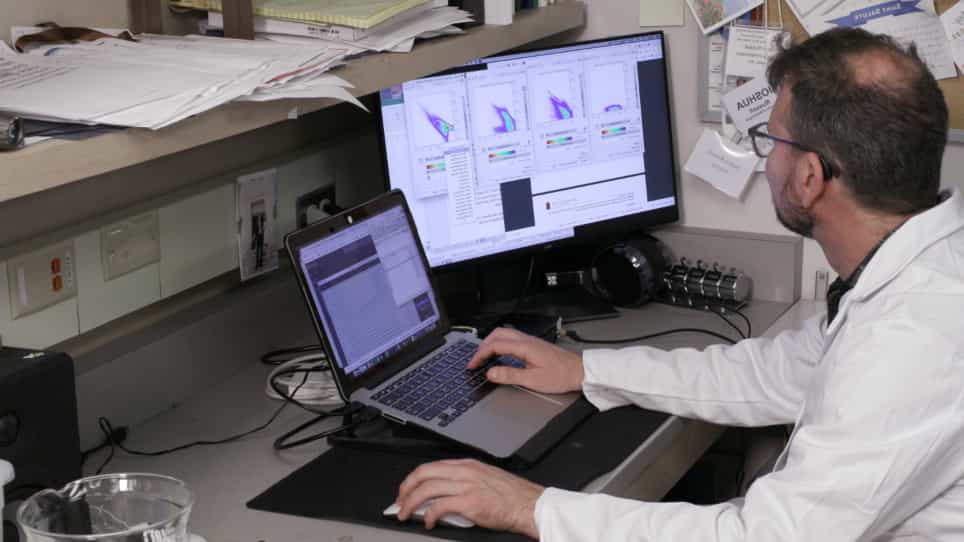 Purification and Analysis of Caenorhabditis elegans Extracellular Vesicles