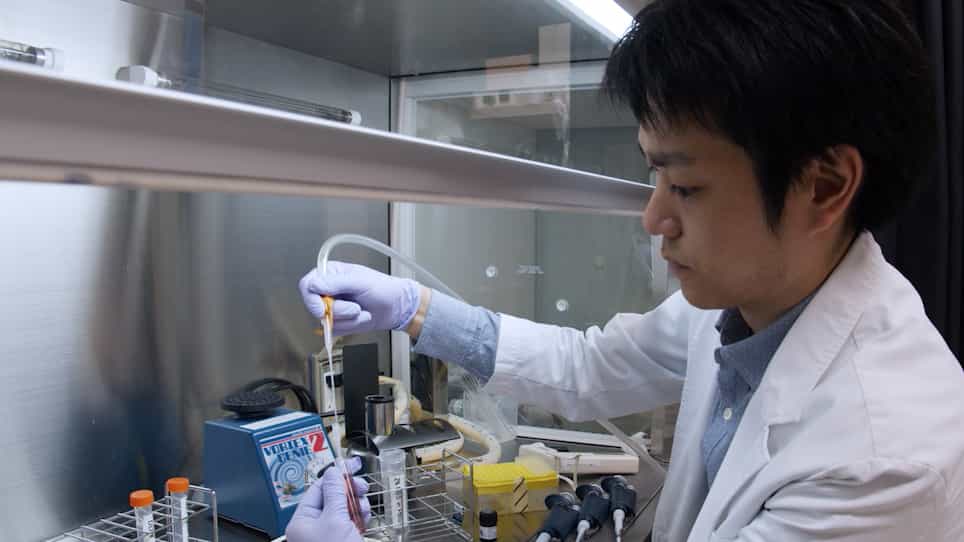 Monitoring PD-1-Blocking Antibodies Bound to T Cells Derived from a Drop of Peripheral Blood
