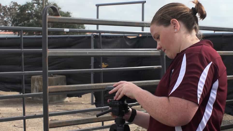 The Use of Traditional Fear Tests to Evaluate Different Emotional Circuits in Cattle