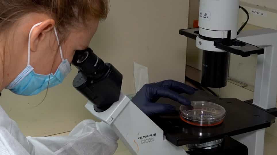 A New Toolkit for Evaluating Gene Functions using Conditional Cas9 Stabilization