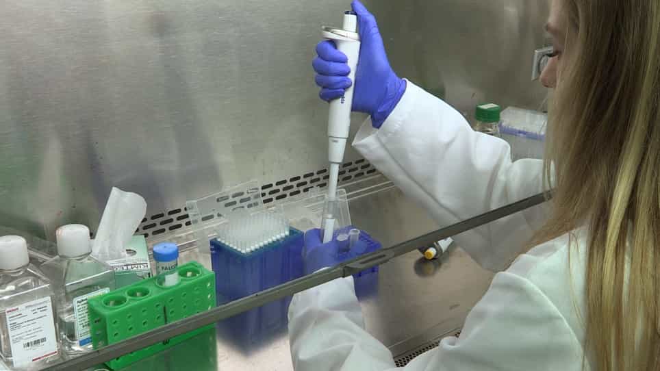 Analysis of Non-Human Primate Pancreatic Islet Oxygen Consumption