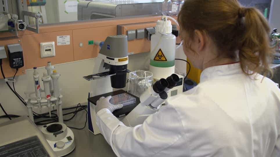 Universal and Efficient Electroporation Protocol for Genetic Engineering of Gastrointestinal Organoids