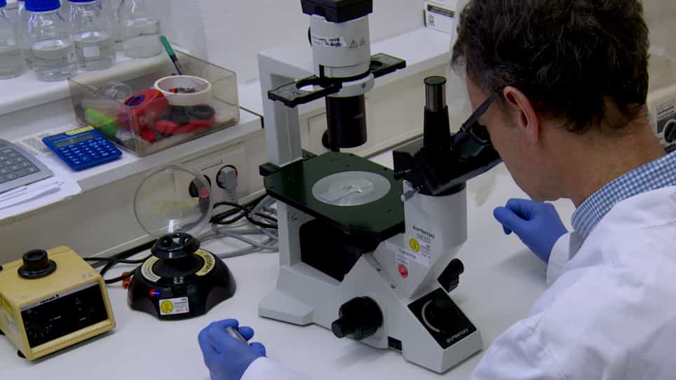 Time-lapse Imaging of Mouse Macrophage Chemotaxis