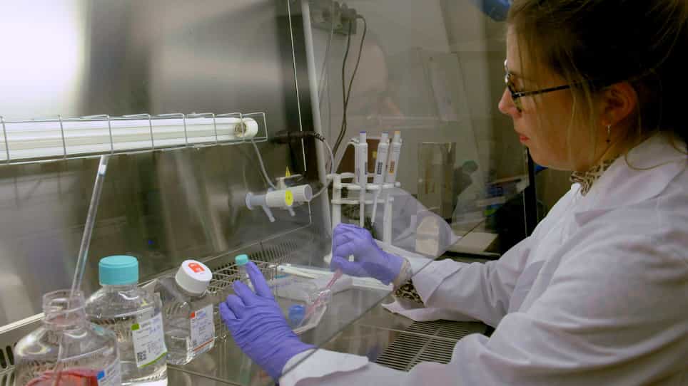 Production of Autologous Platelet-Rich Plasma for Boosting In Vitro Human Fibroblast Expansion