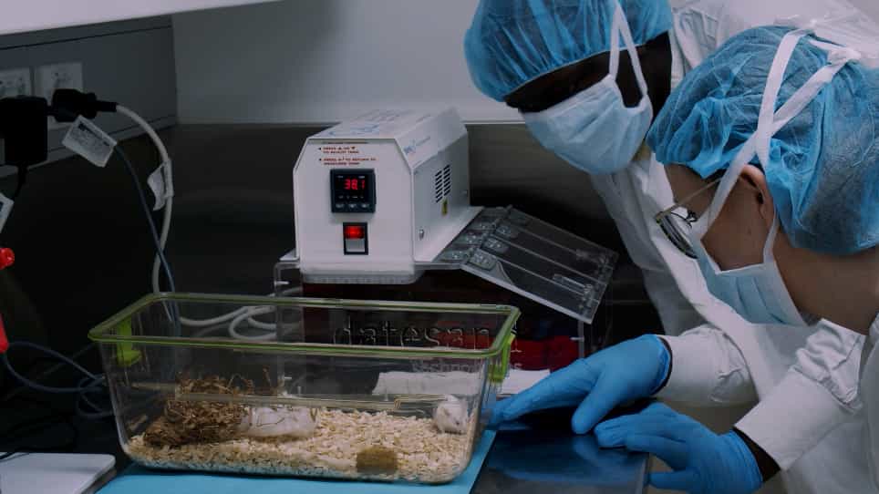 A Mouse Model of Incompletely Resected Soft Tissue Sarcoma for Testing Neoadjuvant Therapies