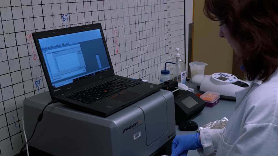 Determination of Chemical Inhibitor Efficiency against Intracellular Toxoplasma Gondii Growth Using a Luciferase-Based Growth Assay