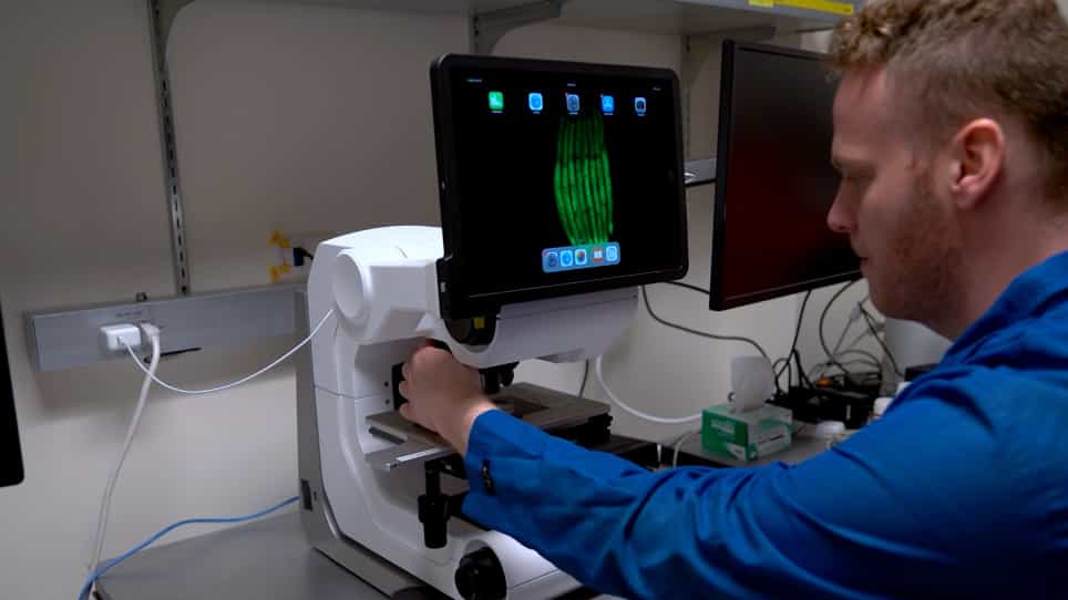 Measurements of Physiological Stress Responses in C. Elegans