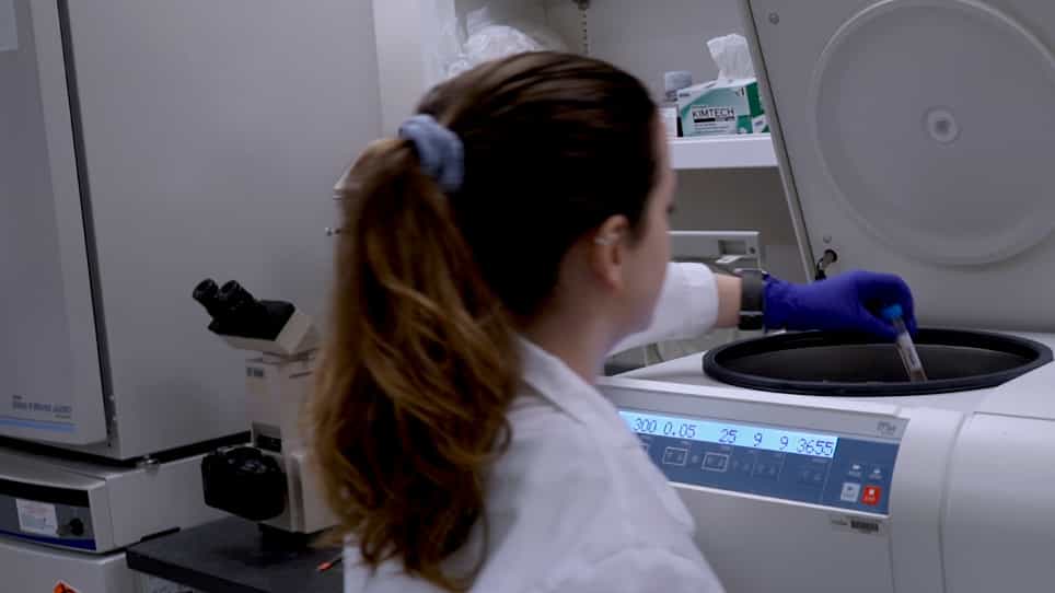 Detection of Protein S-Acylation using Acyl-Resin Assisted Capture