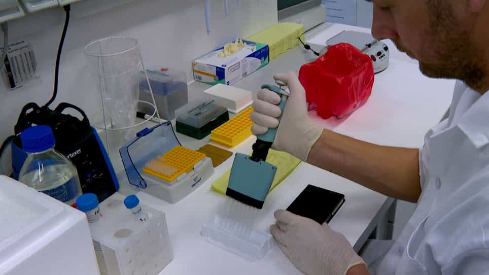 An Electrochemiluminescence-Based Assay for MeCP2 Protein Variants