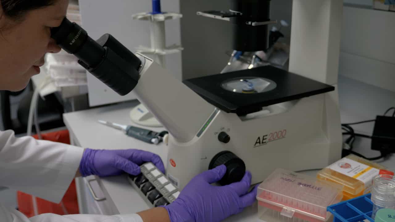 Generating a Fractal Microstructure of Laminin-111 to Signal to Cells