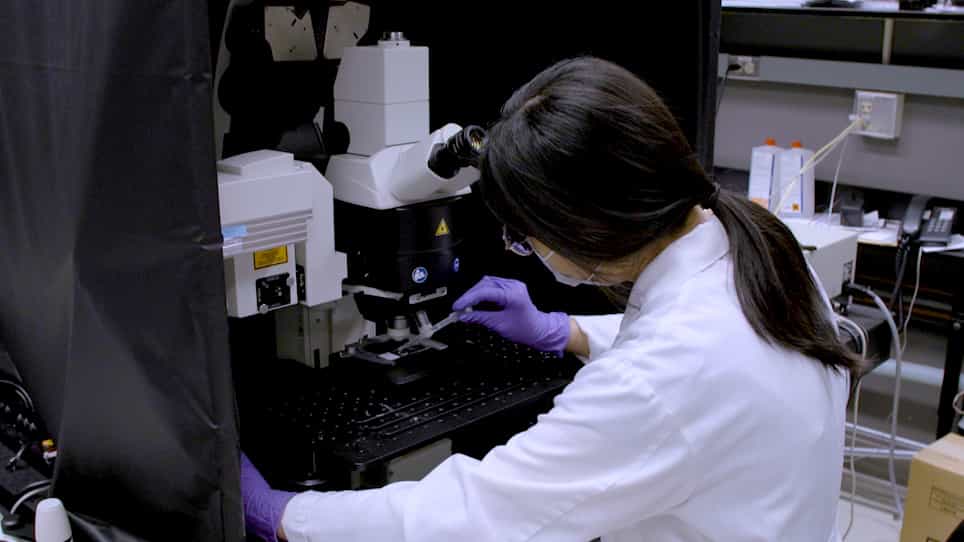 Blocking Lymph Flow by Suturing Afferent Lymphatic Vessels in Mice