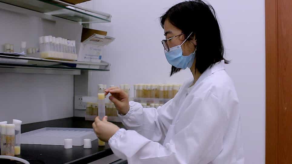 Measuring Crop Motility and Food Passaging in Drosophila