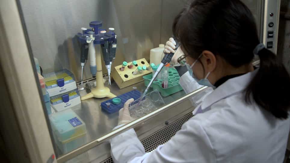 Neuronal Differentiation from Mouse Embryonic Stem Cells In vitro