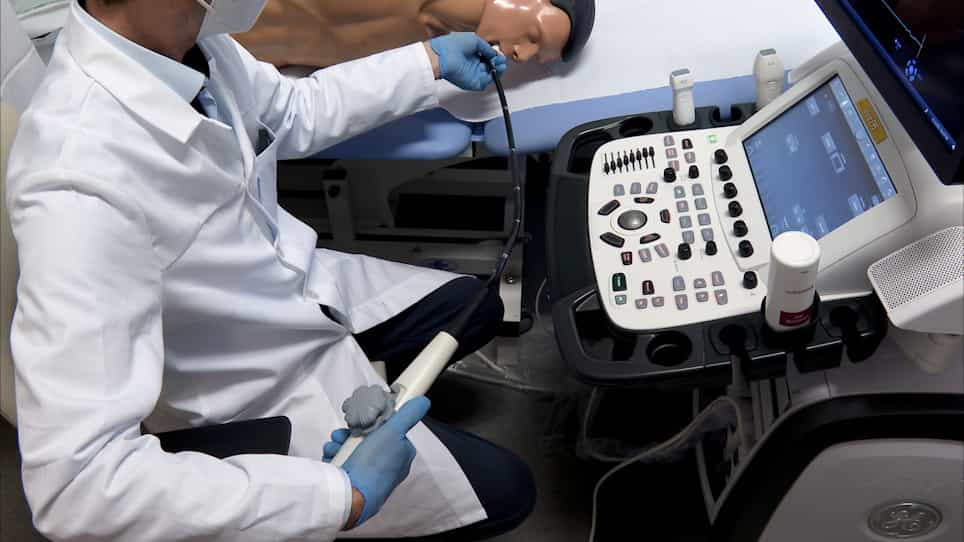 Three-Dimensional Echocardiographic Method for the Visualization and Assessment of Specific Parameters of the Pulmonary Veins