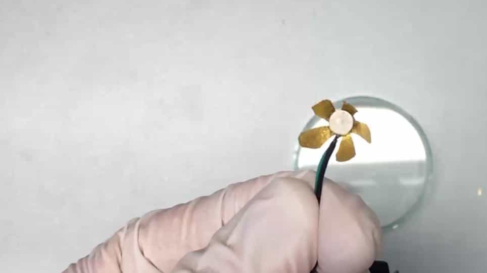 Fabrication of Carbon-Based Ionic Electromechanically Active Soft Actuators