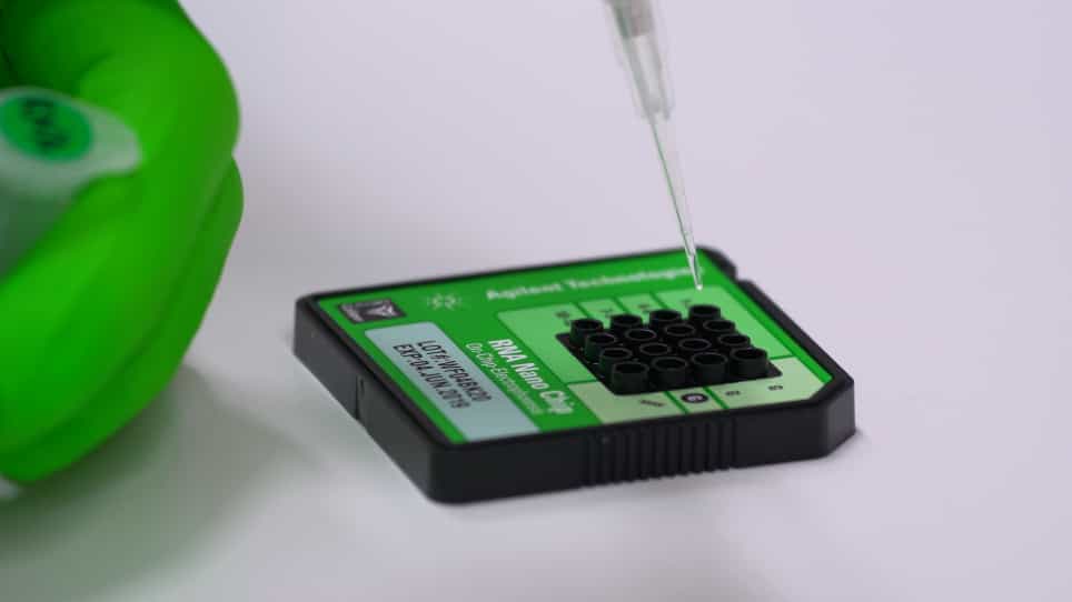 Methylated RNA Immunoprecipitation Assay to Study m5C Modification in Arabidopsis