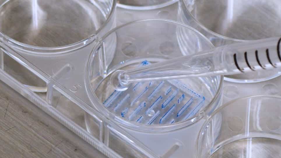Preparation of Mesh-Shaped Engineered Cardiac Tissues Derived from Human iPS Cells for In Vivo Myocardial Repair