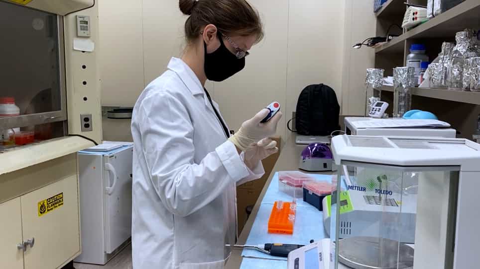 Nonradioactive Assay to Measure Polynucleotide Phosphorylation of Small Nucleotide Substrates