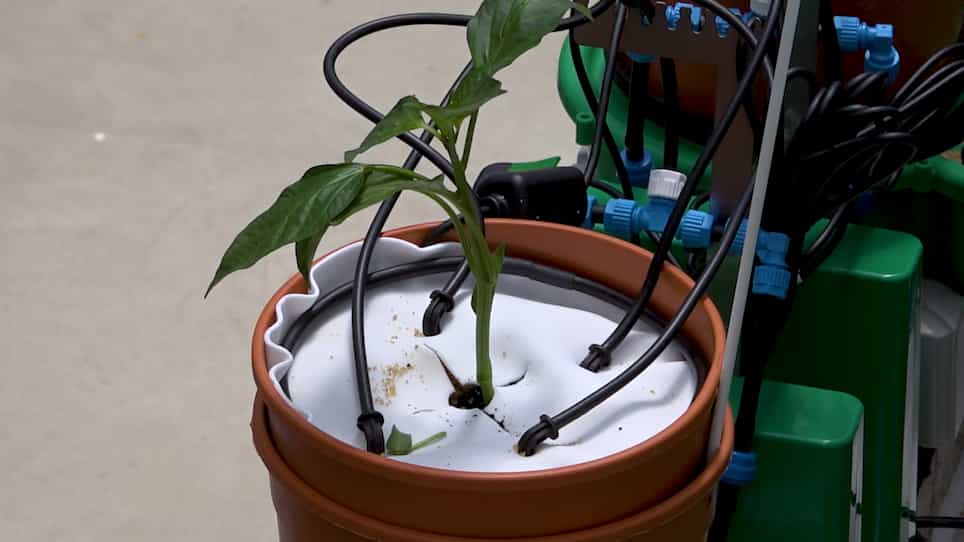 A Telemetric, Gravimetric Platform for Real-Time Physiological Phenotyping of Plant–Environment Interactions