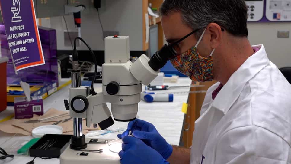 Digestion of Whole Mouse Eyes for Multi-Parameter Flow Cytometric Analysis of Mononuclear Phagocytes