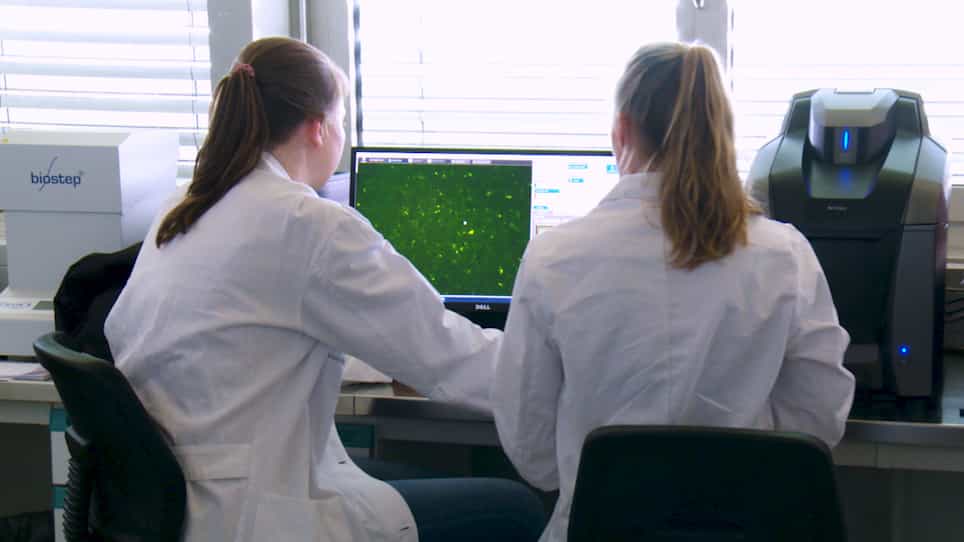 A Cell Culture Model for Producing High Titer Hepatitis E Virus Stocks