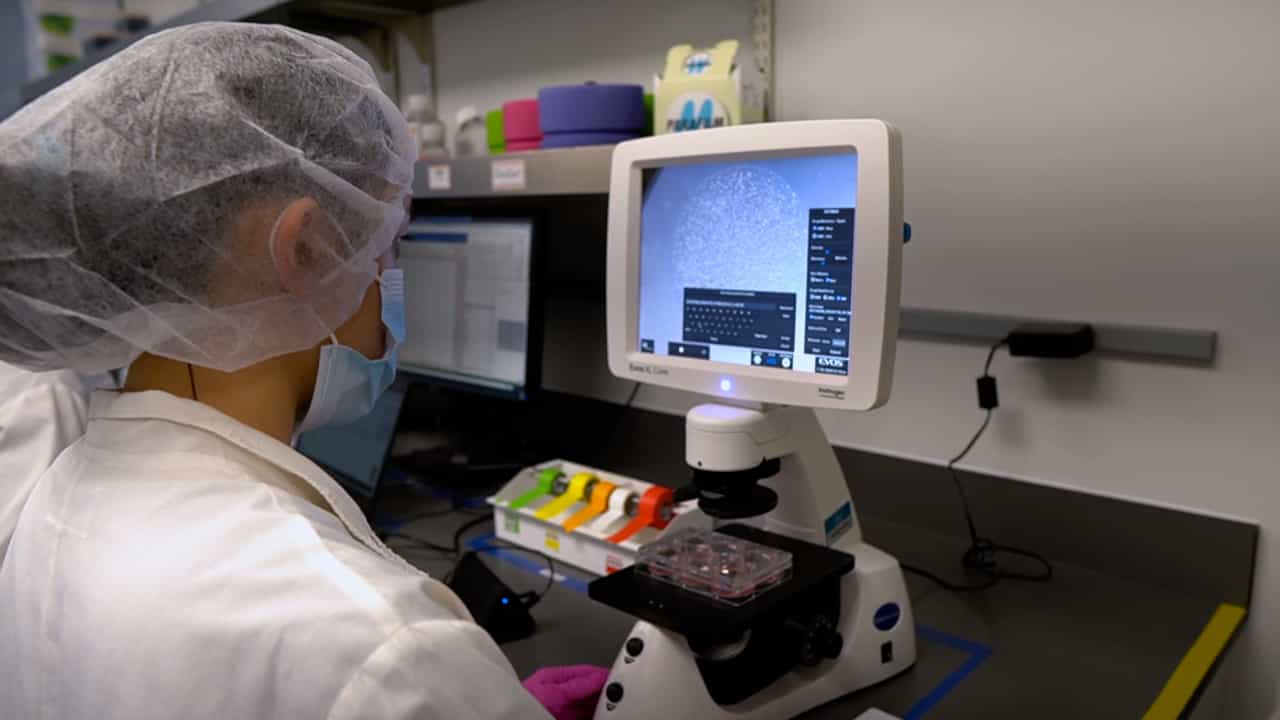 Creating Matched In vivo/In vitro Patient-Derived Model Pairs of PDX and PDX-Derived Organoids for Cancer Pharmacology Research
