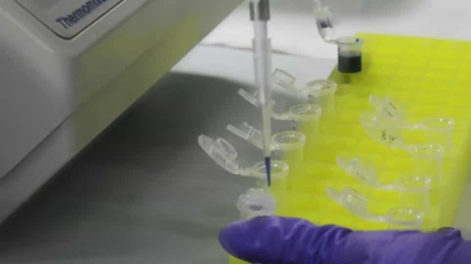RNA Blot Analysis for the Detection and Quantification of Plant MicroRNAs