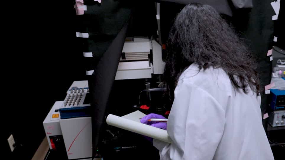 Precise Brain Mapping to Perform Repetitive In Vivo Imaging of Neuro-Immune Dynamics in Mice
