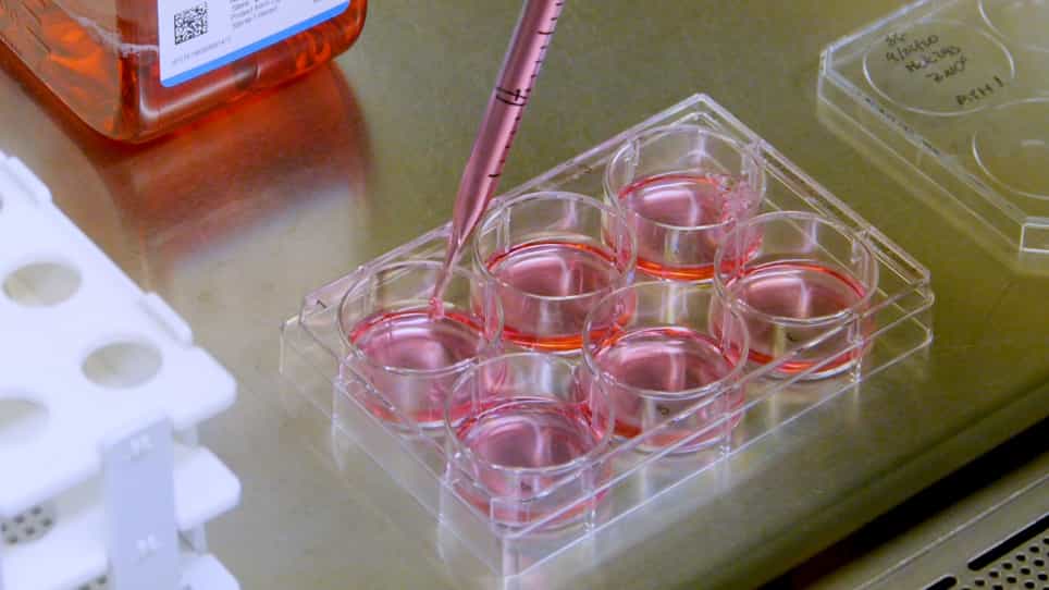 Assessing Cellular Target Engagement by SHP2 (PTPN11) Phosphatase Inhibitors