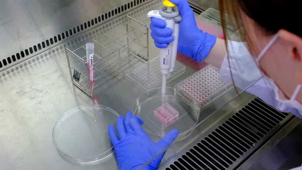 Three-Dimensional Motor Nerve Organoid Generation