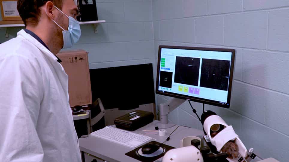 In vivo Structural Assessments of Ocular Disease in Rodent Models using Optical Coherence Tomography